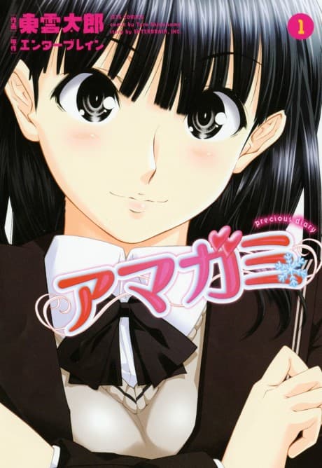 Amagami: precious diary cover