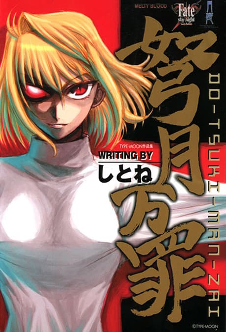 TYPE-MOON Sakuhinshuu - Dotsuki Manzai cover