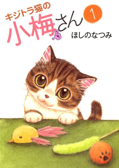 Plum Crazy! Tales of a Tiger-Striped Cat cover