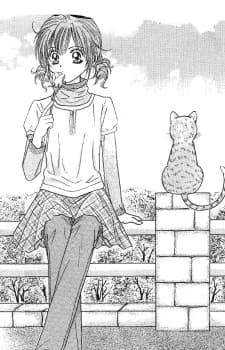 Travel To The Cats' Territory cover