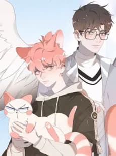 Social Cat cover