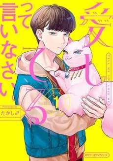 Aishiteru tte Iinasai. cover
