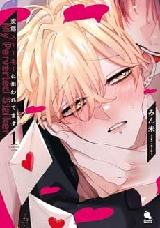 My Perverted Stalker cover