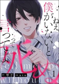 Nee, Boku ga Inai to Shinutte Itte yo cover