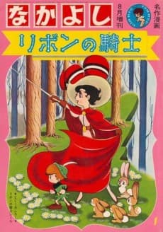 Princess Knight cover